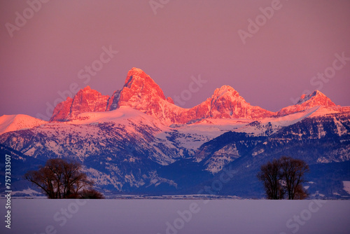 Billede på lærred Teton Mountain Range Idaho Side Sunset Alpen Glow in Winter Blue Sky and Forest