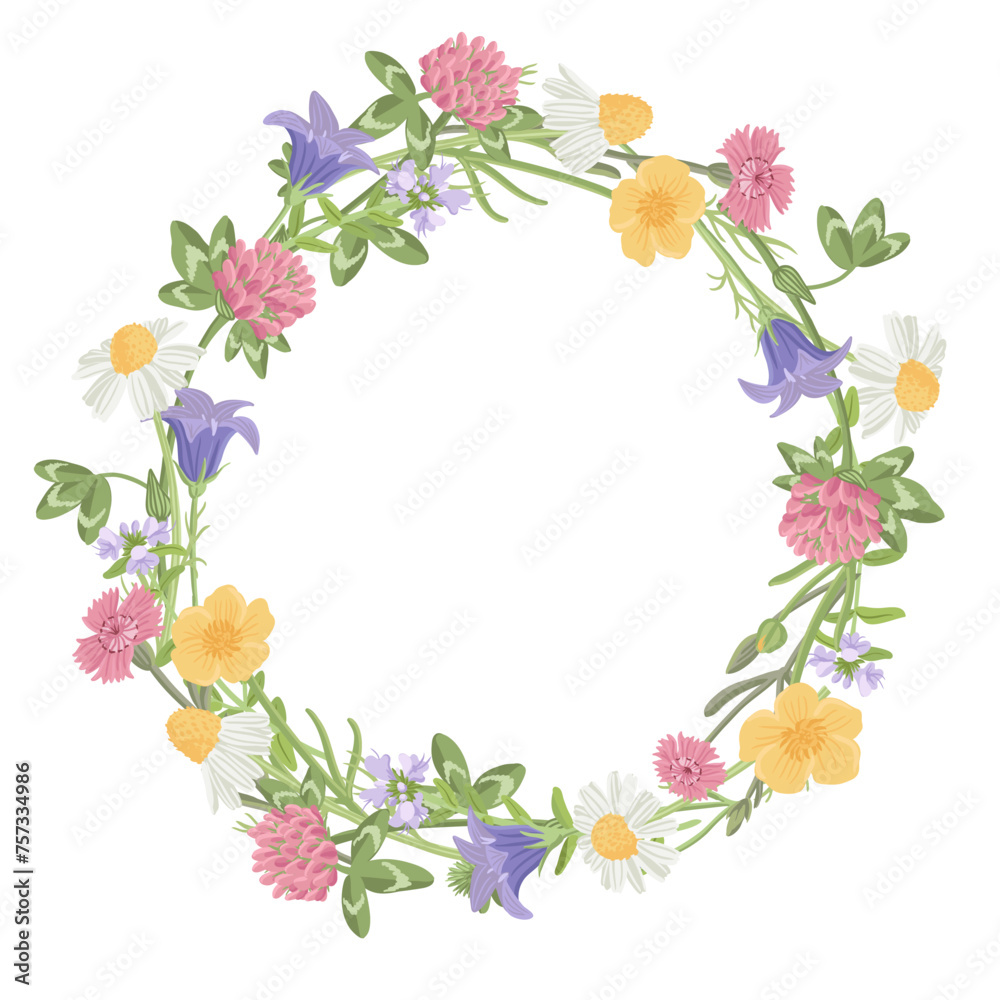 round wreath with with wild chamomile, field flowers, vector drawing plants at white background, floral design, hand drawn botanical illustration