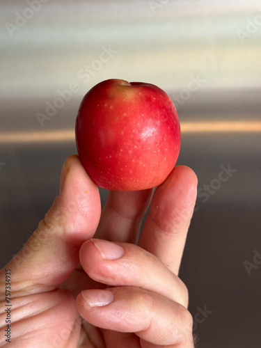 Small crabapple in fingers simple tiny apple