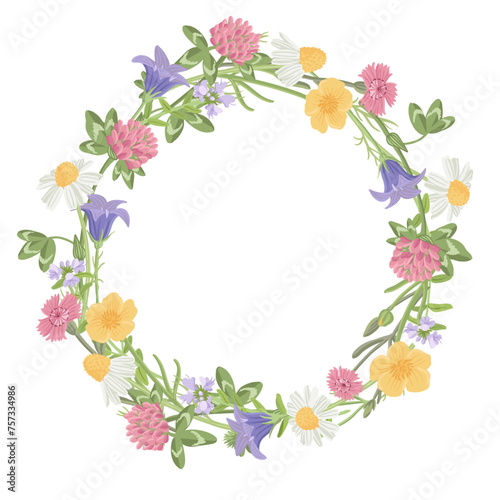 round wreath with with wild chamomile, field flowers, vector drawing plants at white background, floral design, hand drawn botanical illustration © cat_arch_angel