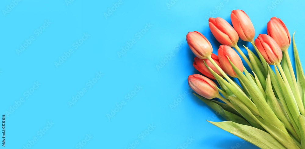 A bouquet of pink tulips lies on a blue background, top view. Flowers for banners and cards. Bouquet for Mother's Day or other holiday. Tulips on a bright background with copy space