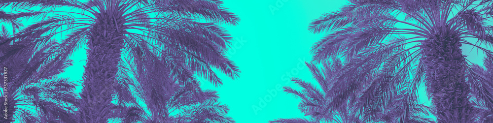 Palm leaves against the background of the sunset sky. Tropical nature background. Blue tint. Horizontal banner
