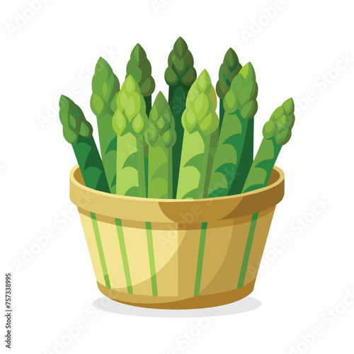 Asparagus in busket Green Leafy Vegetables vector illustration