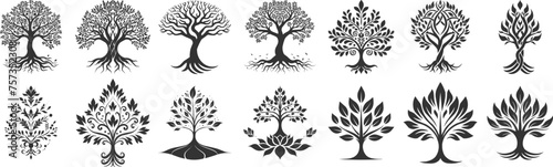 Tree of Life vector clipart: versatile, and perfect for nature-themed designs