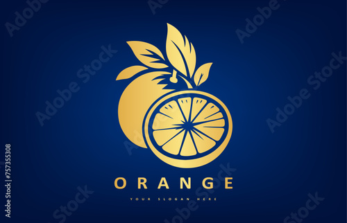 orange fruit and leaf logo vector