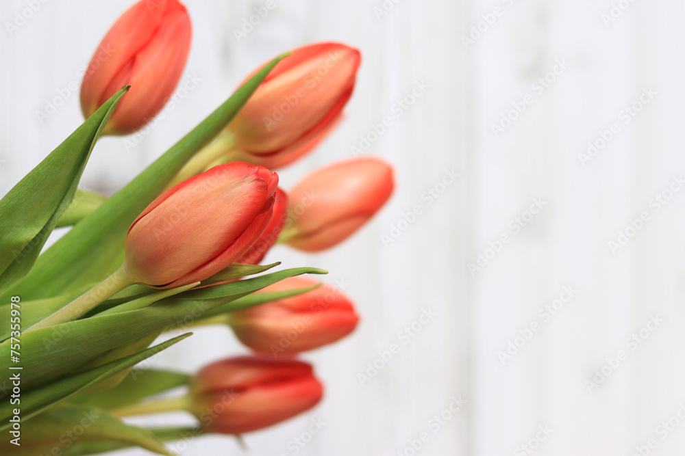 Bouquet of pink tulips on a light wooden background, top view. Flowers for banners and cards. Bouquet of flowers with selective focus. Tulips on a wooden table, background with copy space Bouquet of pink tulips on a light wooden background, top view. Flowers for banners and cards. Bouquet of flowers with selective focus. Tulips on a wooden table, background with copy space