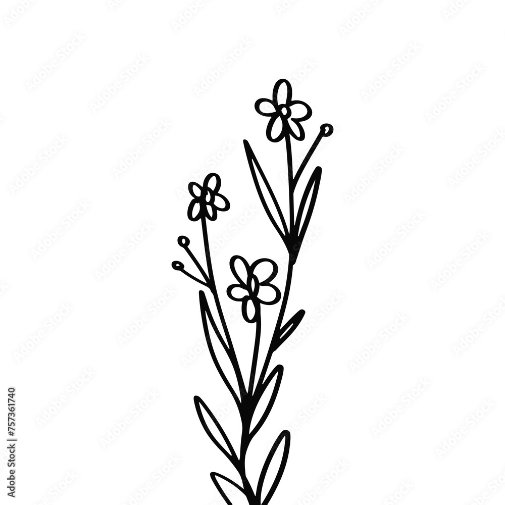 illustration of flowers illustration of flowers
