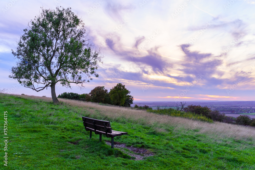 Sunset of bench, tree, and countryside, in Dunstable Down