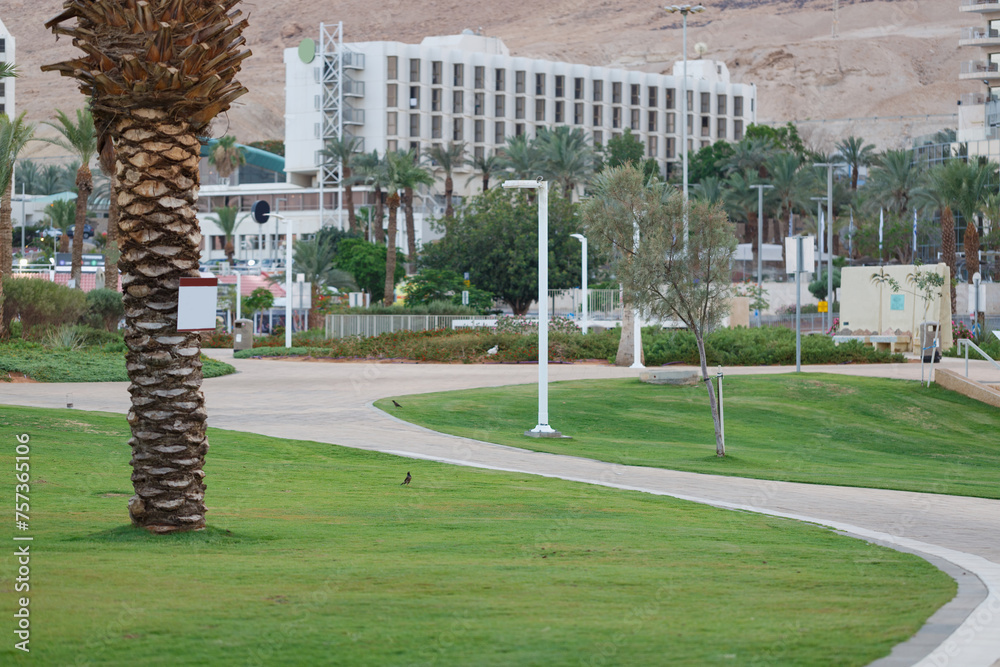 Obraz premium Park with well maintained green grass, winding pathways, modern street lamps and palm trees. In the distance, a sizable multi story building stands beneath a clear sky, urban and natural beauty
