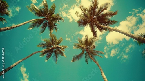 A serene tropical beach scene with palm trees viewed from below, the blue sky creating a vibrant backdrop