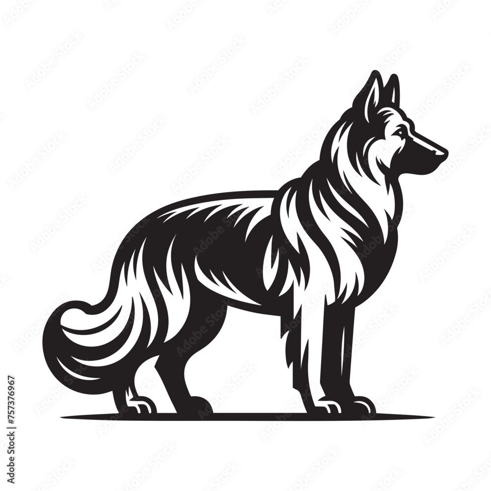 Fototapeta premium Muscular German Shepherd Side View Vector - Strong Profile Illustration in Black and White