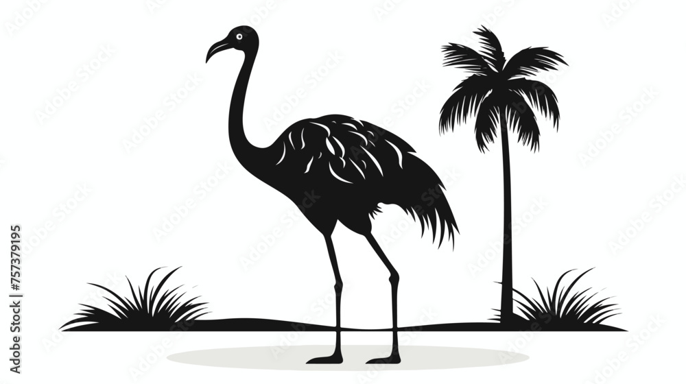 Fototapeta premium silhouett of ostrich white background