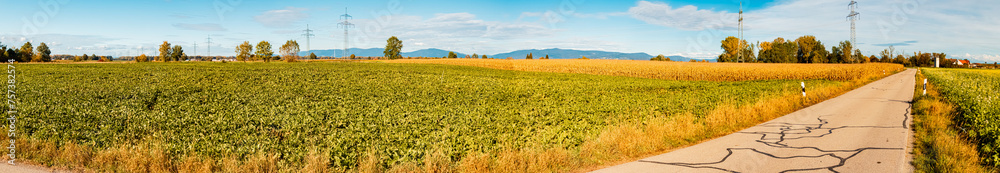High resolution stitched autumn or indian summer panorama near Tabertshausen, Deggendorf, Bavaria, Germany