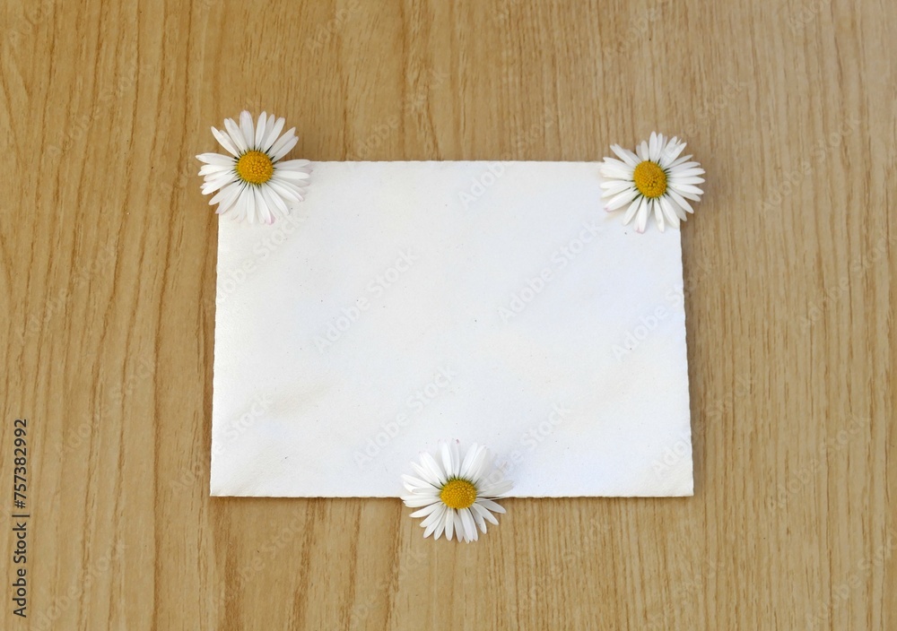 White paper mock up with daisy flower White paper mock up with daisy flower