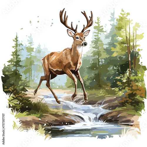 A graceful deer leaping over a stream in a forest © Noman
