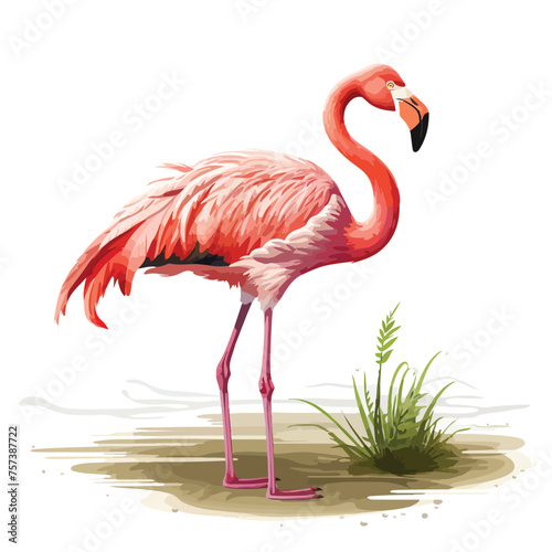 A graceful flamingo wading in a shallow marsh