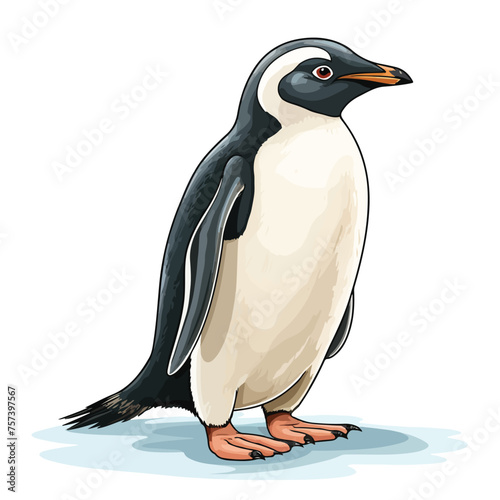 Antarctic Penguin Clipart isolated on white background