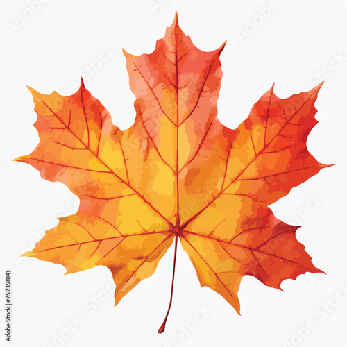 Autumn Leave Clipart isolated on white background