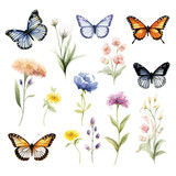 Butterflies and Wildflower Clipart isolated on white background