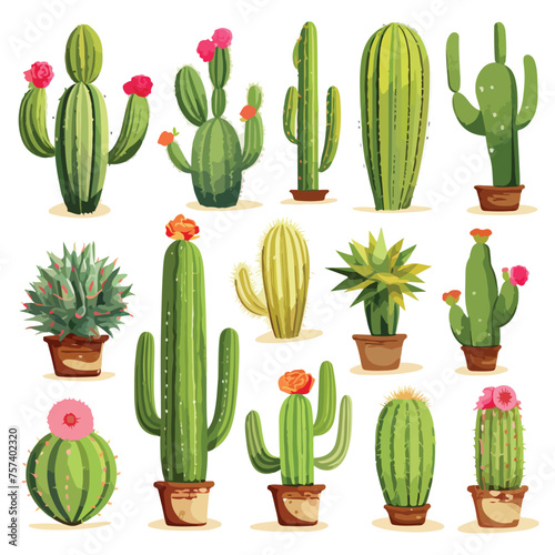 Cactus Clipart isolated on white background