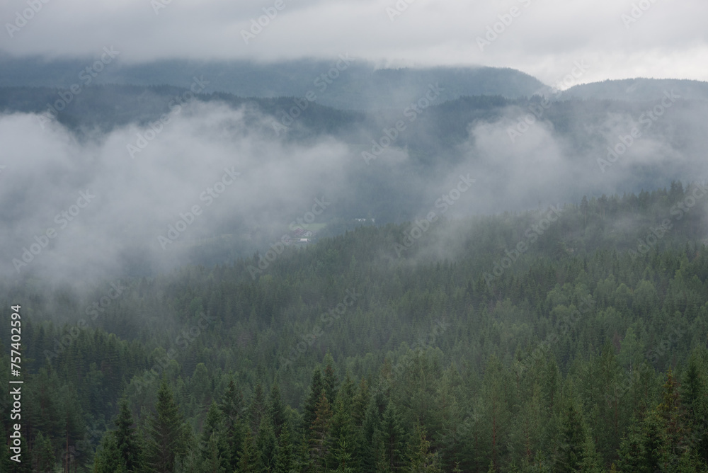 Norwegian landscape with white fog over green trees with mountains in the background.