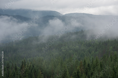 Norwegian landscape with white fog over green trees with mountains in the background.
