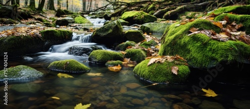 A stream meanders through a forest  flanked by mosscovered rocks and surrounded by terrestrial plants. The tranquil landscape showcases the beauty of natures fluvial landforms