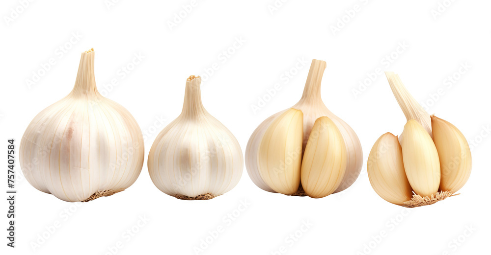 Garlic isolated on transparent background Remove png, Clipping Path, pen tool