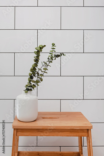 Eucalyptus branches in a vase over the white tile wall background