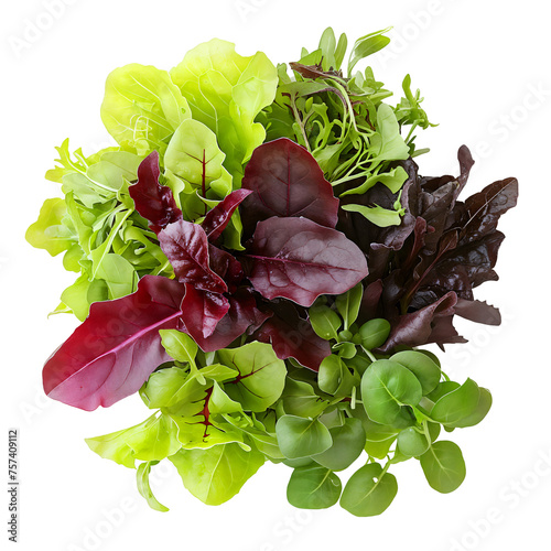 Vibrant Assortment of Gourmet Salad Greens - Potential Commercial Uses: Healthy Eating, Culinary, Lifestyle, Food Photography - Isolated on a Transparent Background