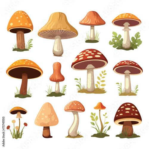 Forest Mushrooms Clipart