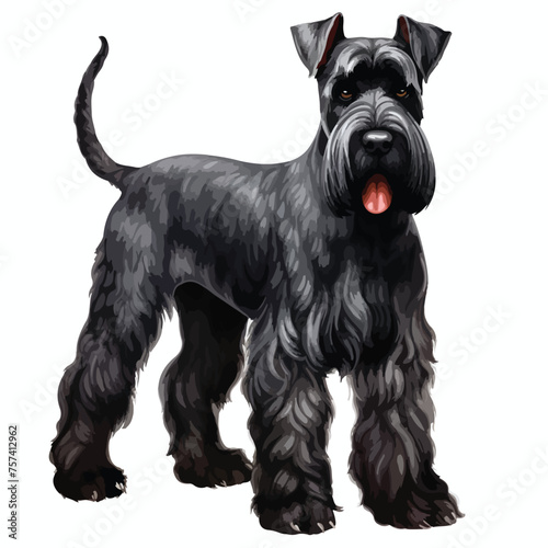 Giant Schnauzer Clipart isolated on white background