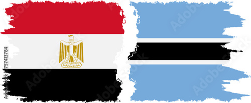 Botswana and Egypt grunge flags connection vector