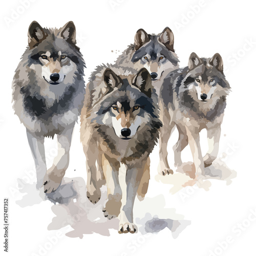 Wolf Pack Clip Art Watercolor Clipart