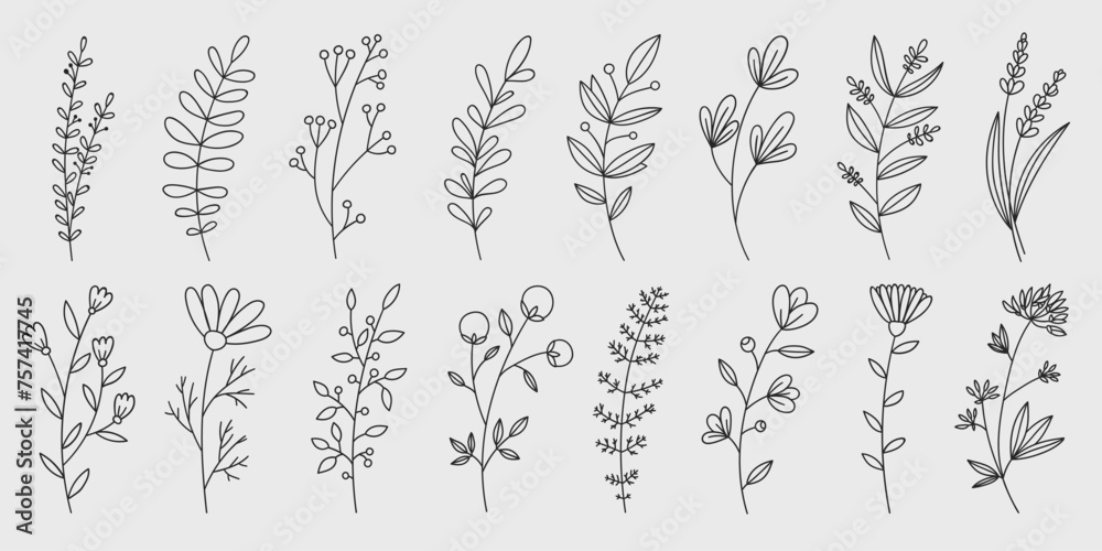 Hand drawn flower doodles. Hand drawn sketch of spring flower plant. Vector simple flower. Hand drawn flower doodles. Hand drawn sketch of spring flower plant. Vector simple flower.