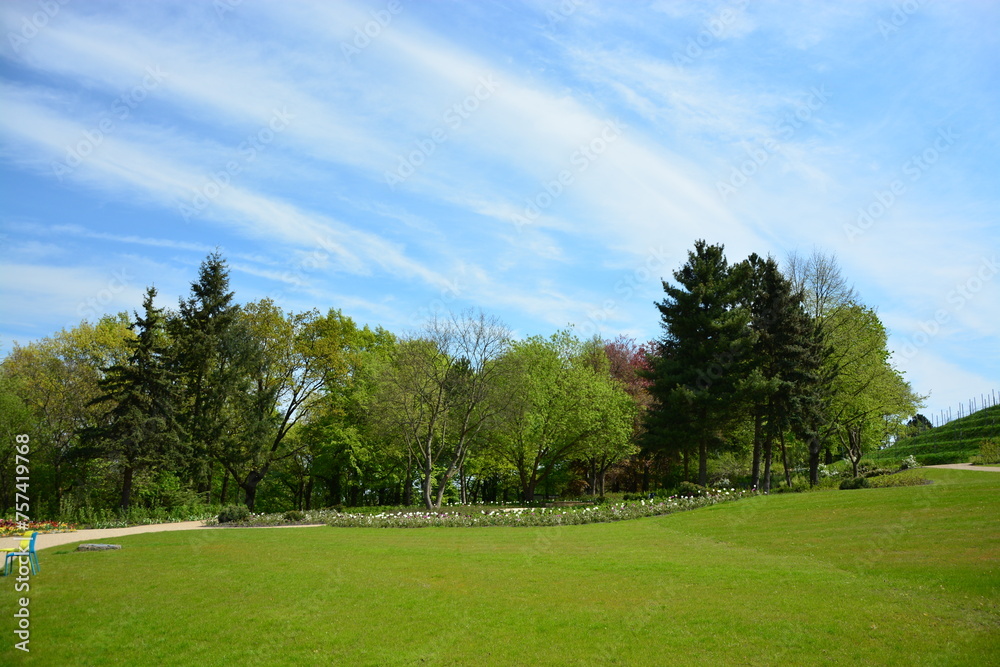 Wiese mit Bäumen am Berghang