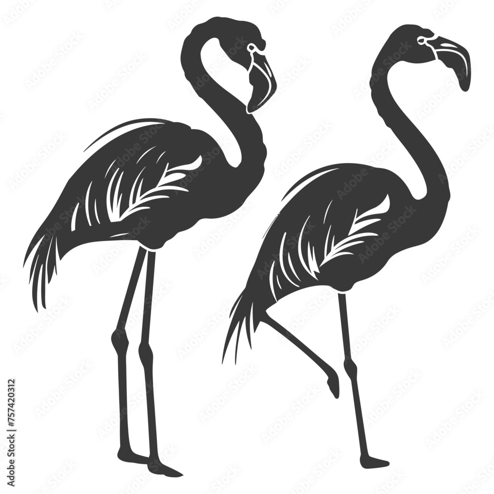 Silhouette Flamingo Birds black color only full body Silhouette Flamingo Birds black color only full body