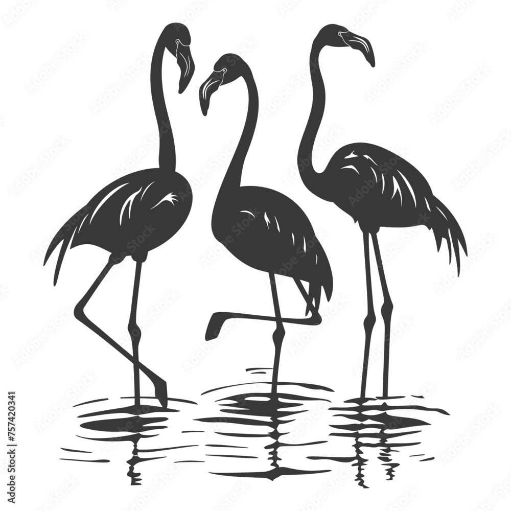 Obraz premium Silhouette Flamingo Birds black color only full body