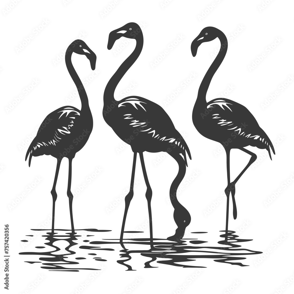 Obraz premium Silhouette Flamingo Birds black color only full body