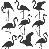 Silhouette Flamingo Birds black color only full body