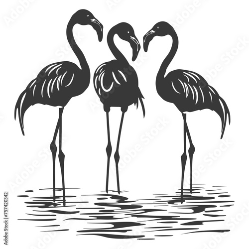 Silhouette Flamingo Birds black color only full body