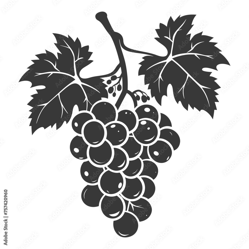 Fototapeta premium Silhouette Grape Fruit black color only