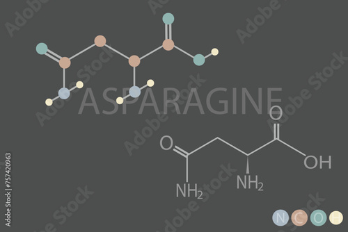 asparagine molecular skeletal chemical formula	
