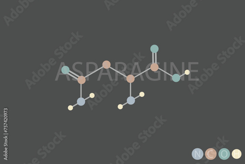 asparagine molecular skeletal chemical formula	
