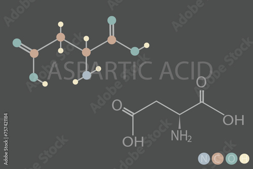 aspartic acid molecular skeletal chemical formula	
 photo