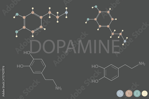 dopamine molecular skeletal chemical formula	
