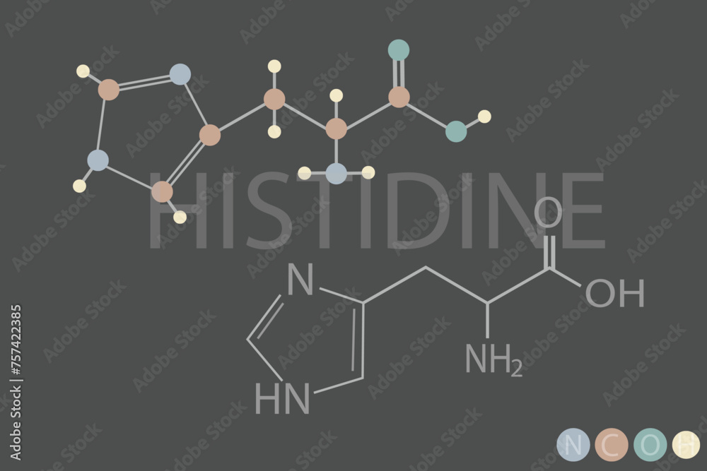 histidine molecular skeletal chemical formula
histidine molecular skeletal chemical formula