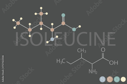 isoleucine molecular skeletal chemical formula	
