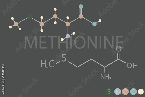 methionine molecular skeletal chemical formula	
