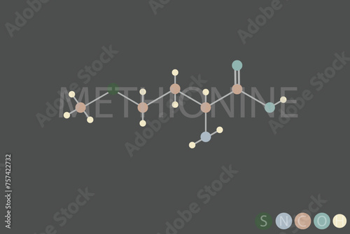 methionine molecular skeletal chemical formula	
